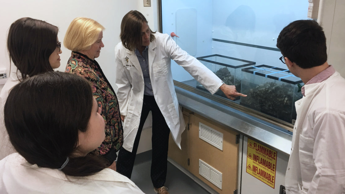 Wayne State University Research Initiative