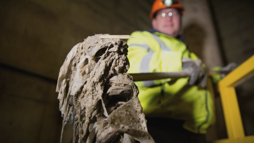 Macomb County Excavation