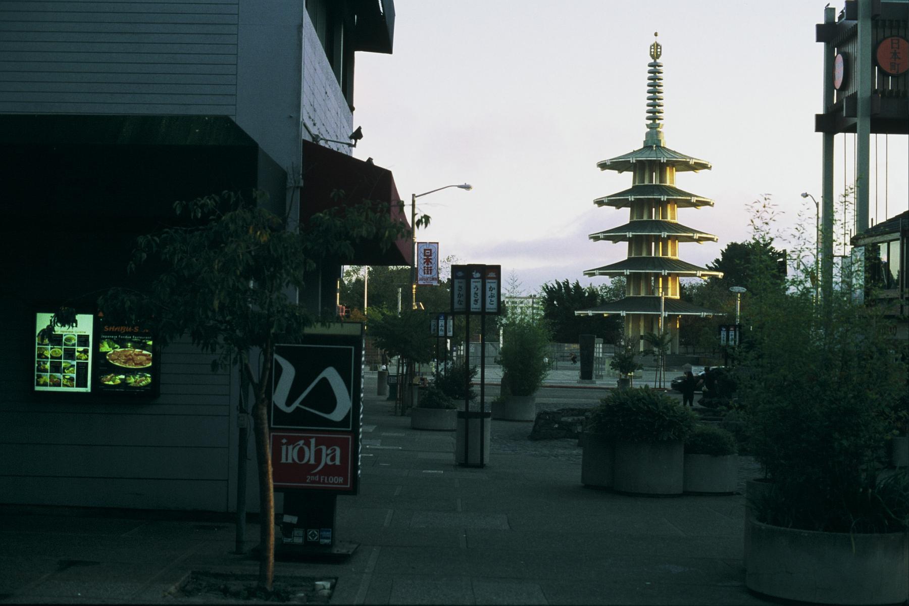 Morning walk.