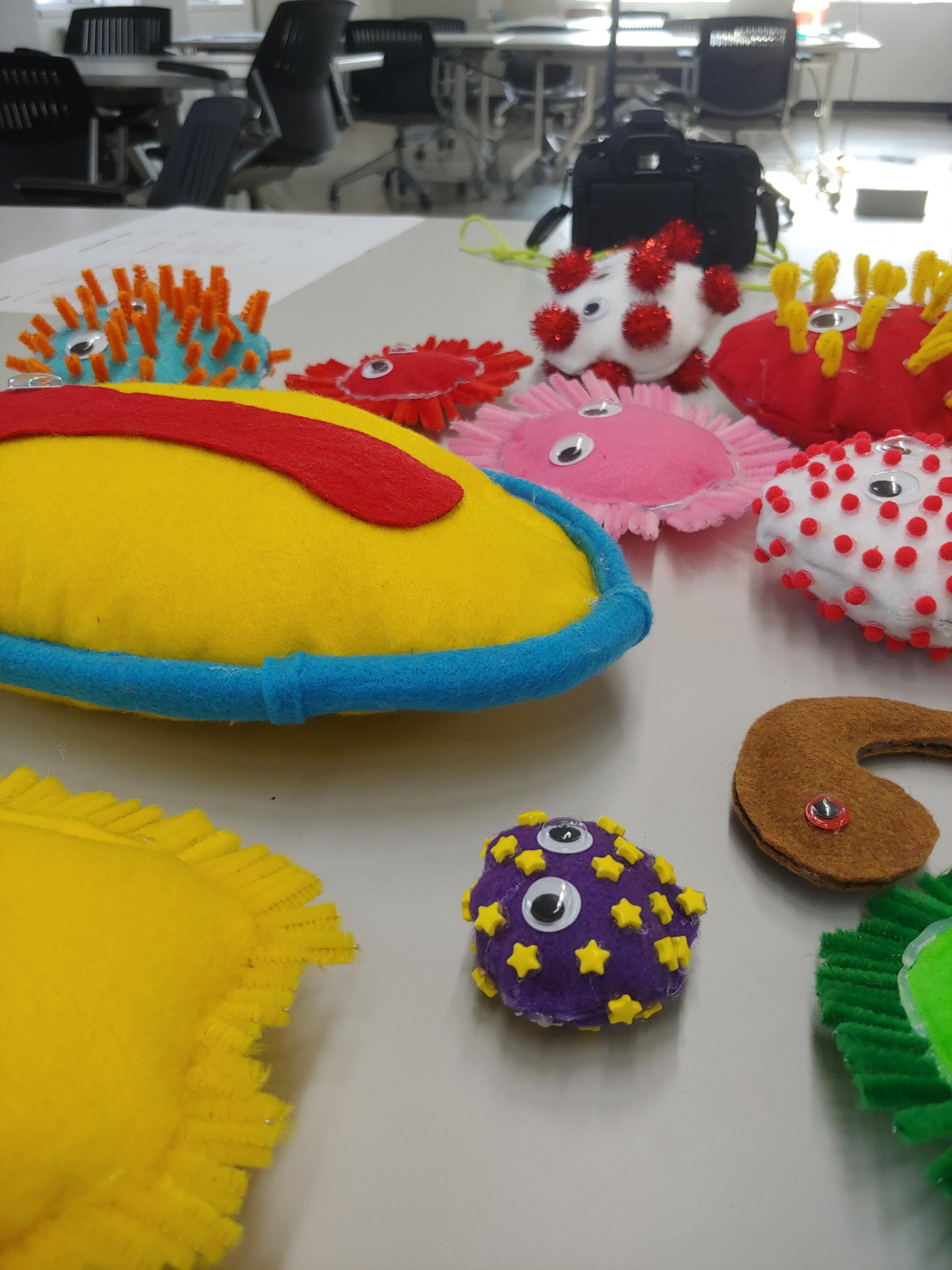 Student work stuffed viruses.