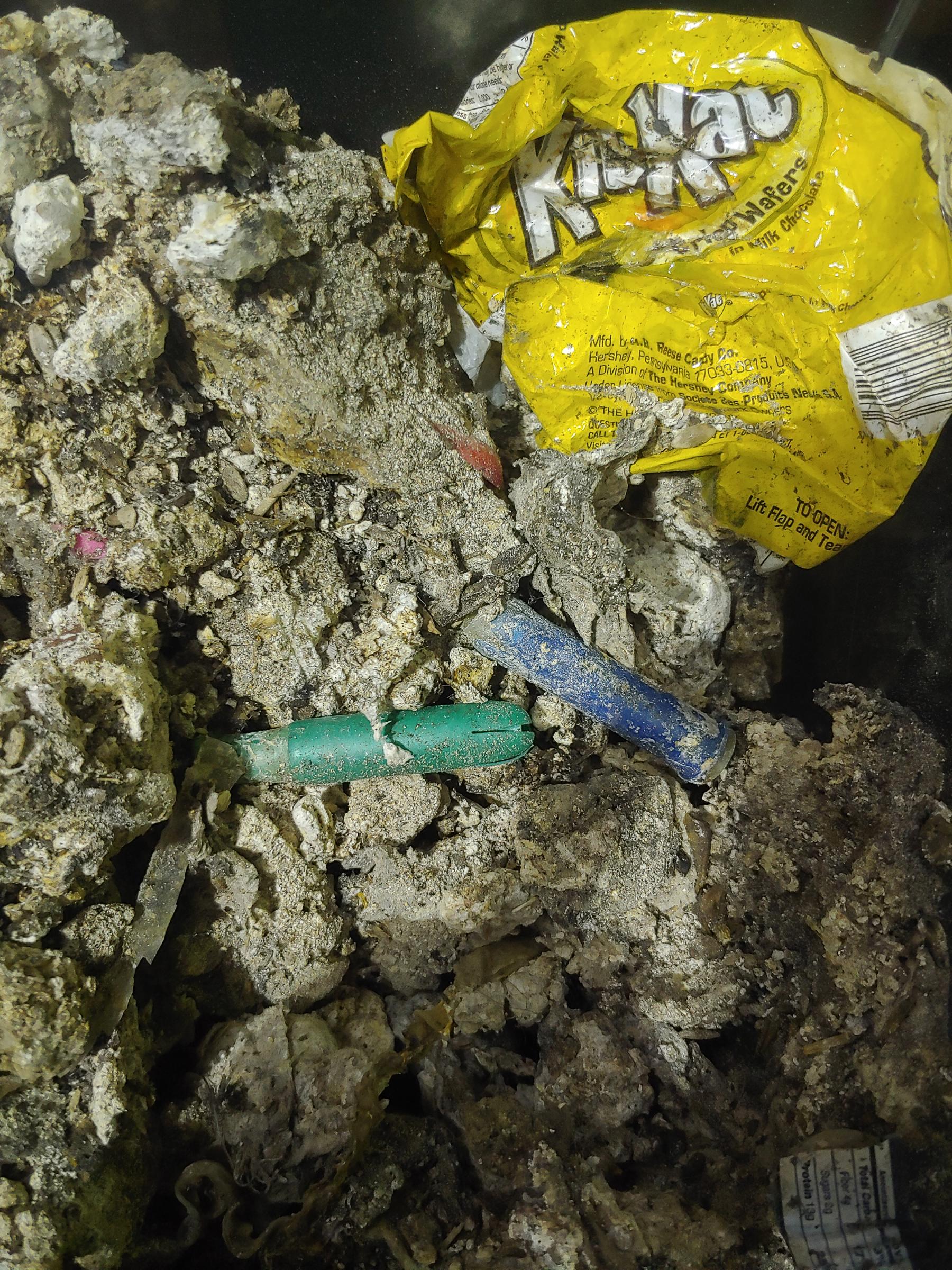 The fatberg up close, kit kats and tampons.