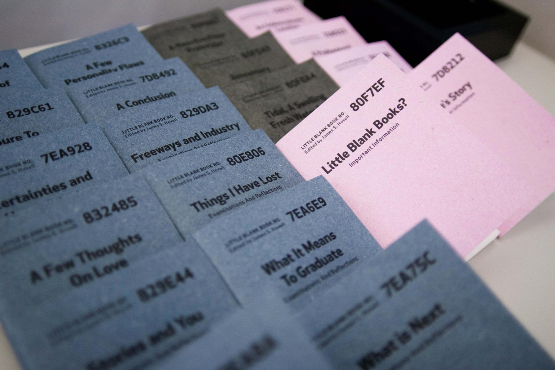 Overview of Little Blank Books
