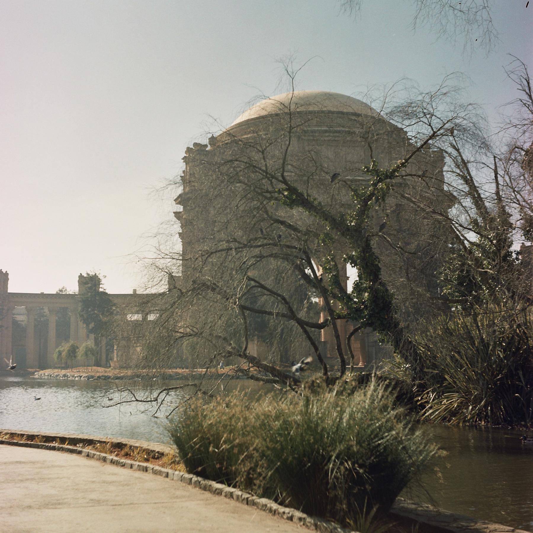 The Palace of Fine Arts open rotunda.