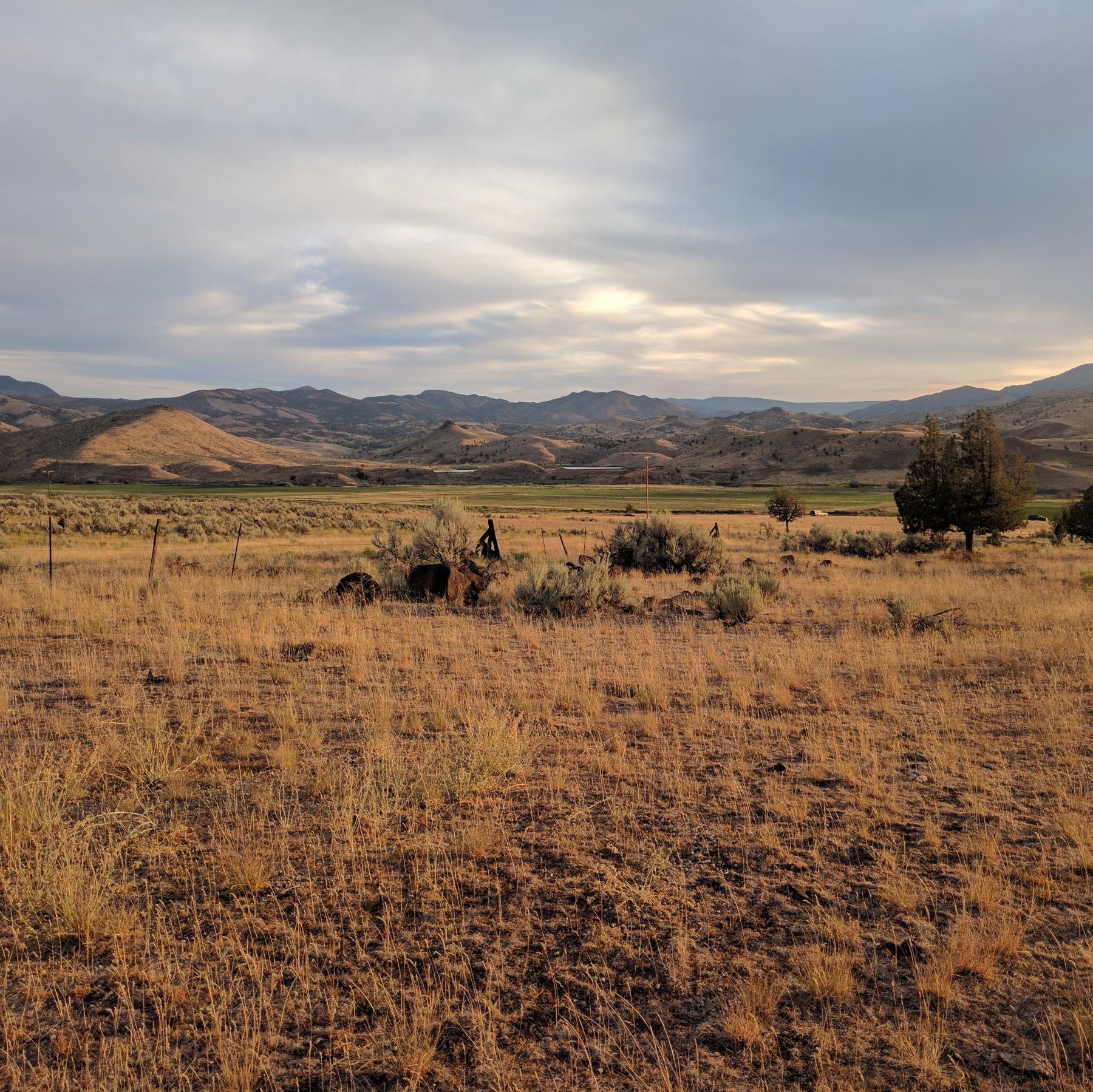 Field.