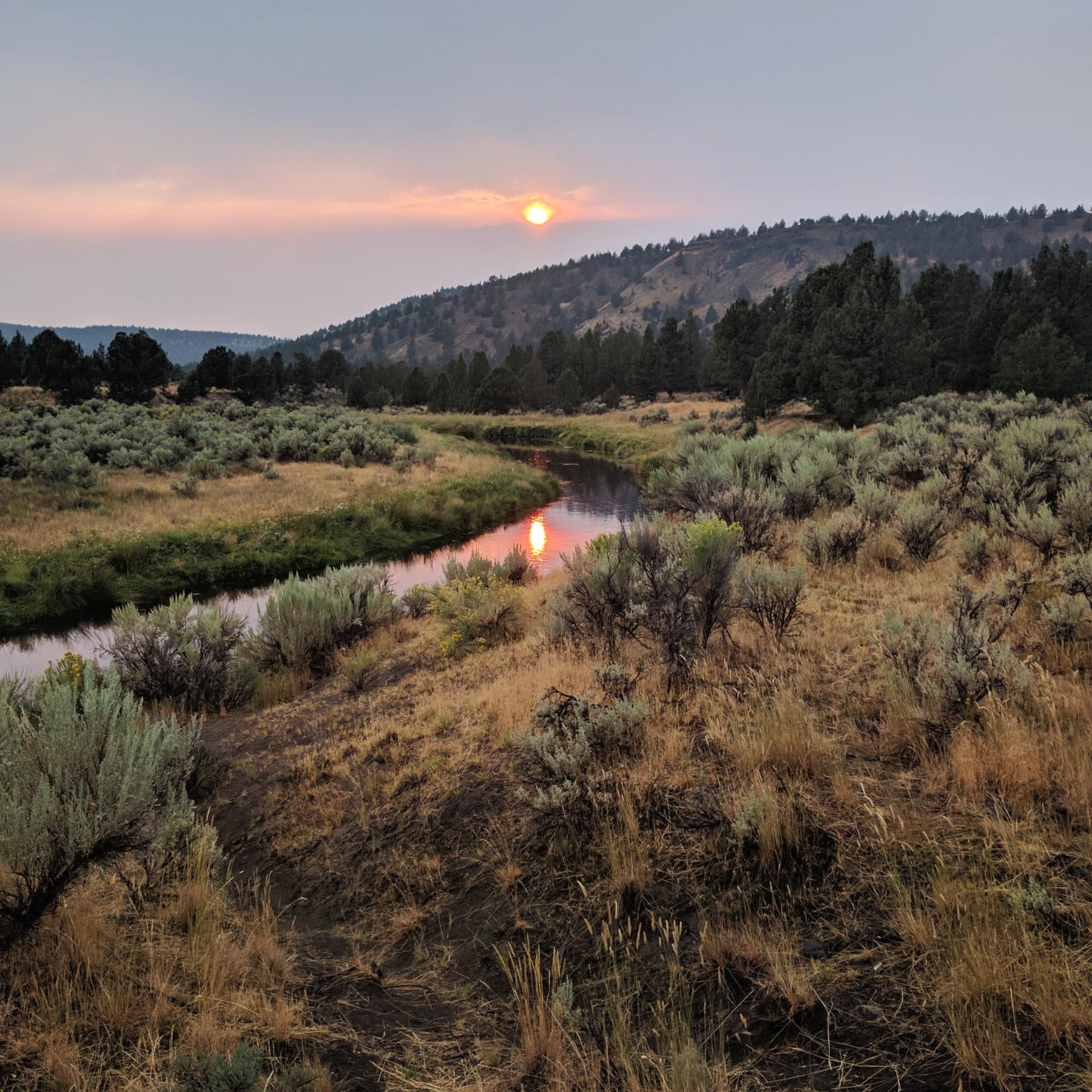 Oregon.